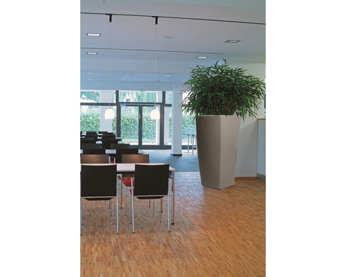 Intérieur avec bac à plantes, tables et chaises