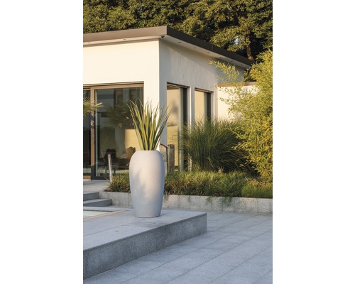 Photo extérieure d''un pot de fleurs gris avec une plante sur une terrasse devant une maison.