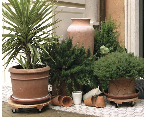 Pflanzkübel auf Rollen mit diversen Pflanzen und Töpfen im Außenbereich.