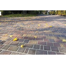 Pavés sur un chemin avec des feuilles d''automne