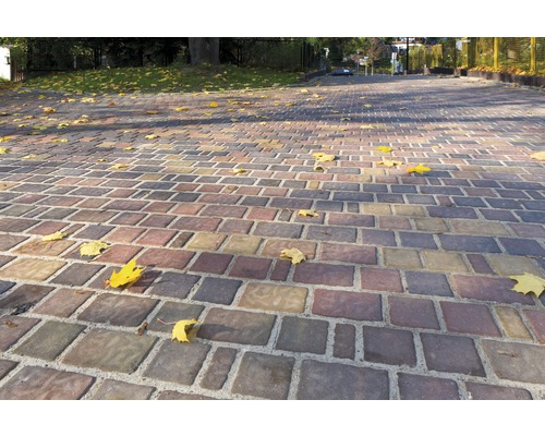 Pflastersteine auf einem Weg mit Herbstlaub