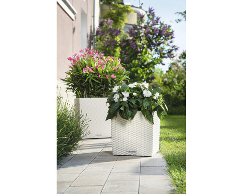 Zwei quadratische Pflanzgefäße mit Blumen auf einer Terrasse.