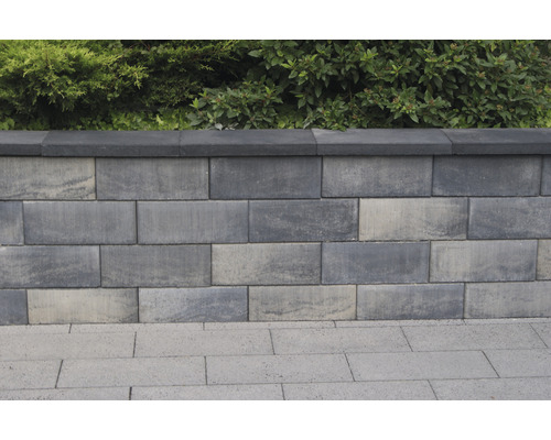 Mur en blocs de béton avec plantes