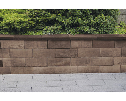 Eine niedrige Gartenmauer aus Betonsteinen mit Pflanzen dahinter.