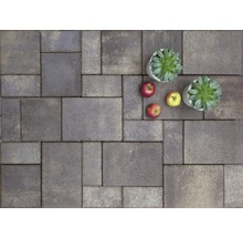 Pavés posés avec des plantes grasses en pot et des pommes