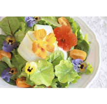 Salat mit Blüten und Gemüse auf einem Teller