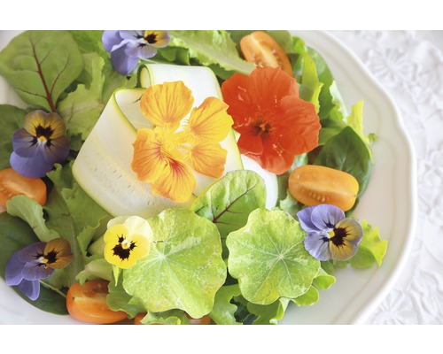 Salat mit Blüten und Gemüse auf einem Teller