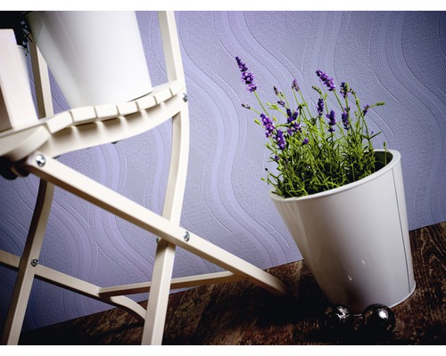 Dekorative Pflanze in weißem Topf neben Pflanzenregal