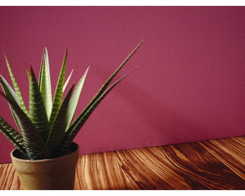 Plante d''intérieur en pot sur une table en bois