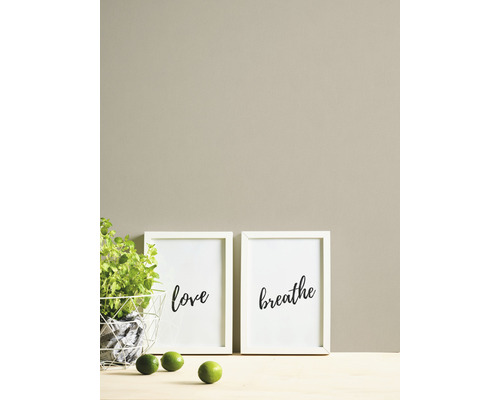 Scène décorative avec deux affiches encadrées avec les mots amour et respiration, une plante en pot et des citrons verts