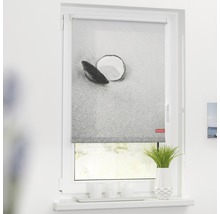 Fenster mit Rollo und Muscheldruck für den Innenbereich