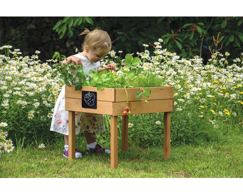 Holz-Hochbeet mit Erdbeeren und Kind im Garten