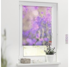 Klemmrollo Lichtblick ohne Bohren Blumenwiese lila 45x150 cm inkl. Klemmträger