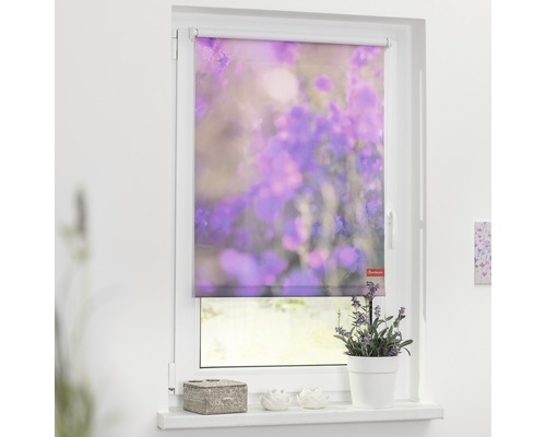 Store à clipser Lichtblick sans vissage pré de fleurs lila 90x150 cm, supports de serrage compris