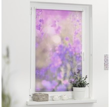 Klemmrollo Lichtblick ohne Bohren Blumenwiese lila 45x150 cm inkl. Klemmträger