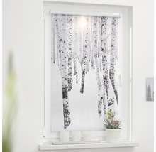 Klemmrollo Lichtblick ohne Bohren Birkenwald weiß 45x150 cm inkl. Klemmträger-thumb-0