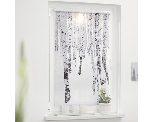Klemmrollo Lichtblick ohne Bohren Birkenwald weiß 45x150 cm inkl. Klemmträger