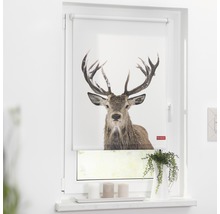 Fenster mit Rollo, das ein Hirschmotiv zeigt