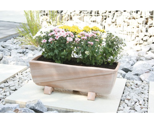 Rechteckiger Pflanzkasten aus Terrakotta mit Blumen im Garten