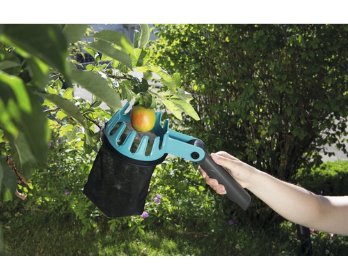 Cueille-fruits en cours d''utilisation avec une pomme sur l''arbre