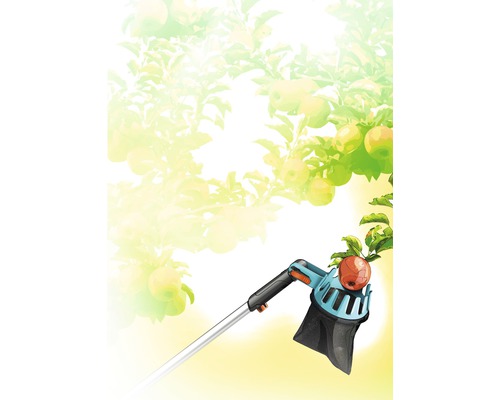 Cueille-fruits en utilisation sous un pommier