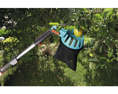 Cueille-fruits sur arbre avec pommes