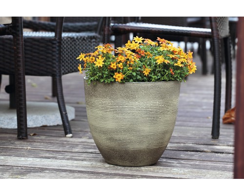 Blumentopf mit gelben Blumen auf einer Holzterrasse