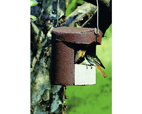 Nichoir suspendu avec oiseau