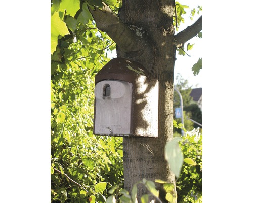 Nichoir à chauves-souris fixé sur un tronc d''arbre