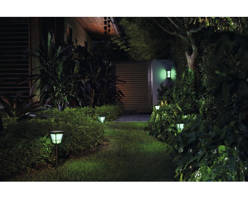 Chemin de jardin éclairé avec luminaires extérieurs et appliques murales