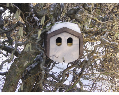 Nichoir avec deux ouvertures suspendu à un arbre