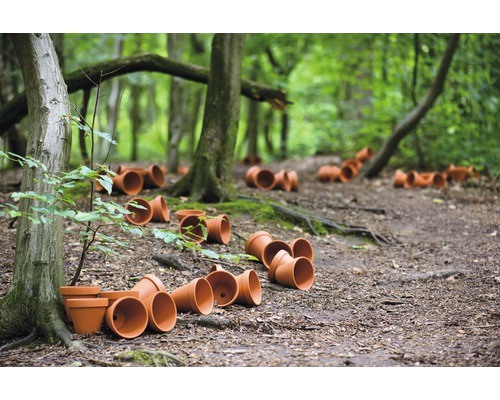 Szene im Wald mit mehreren umgekippten Terrakotta-Blumentöpfen auf dem Boden