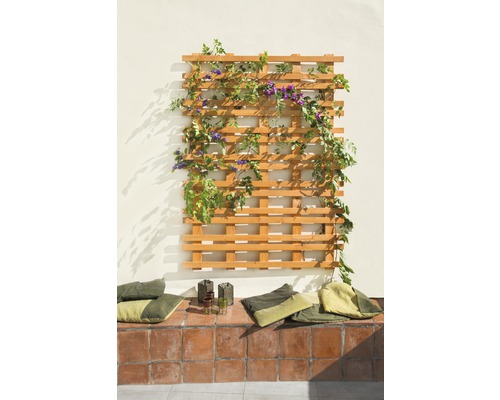 Trellis en bois avec plantes grimpantes sur un mur, coussins d''assise sur des carreaux