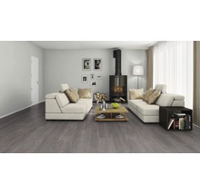 Wohnzimmer mit grauem Holzboden, Sofas, Kamin und Dekoration