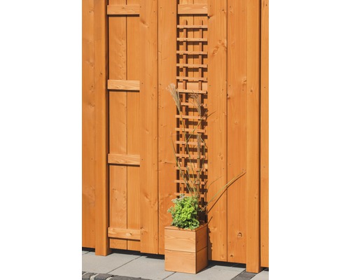 Holzzaun mit Rankgitter und bepflanztem Pflanzkasten