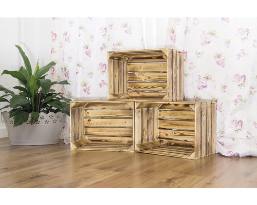Dekorative Holzstapelkisten mit Zimmerpflanze