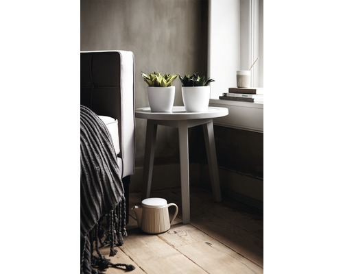 Scène de salon avec table d''appoint, plantes d''intérieur et décoration