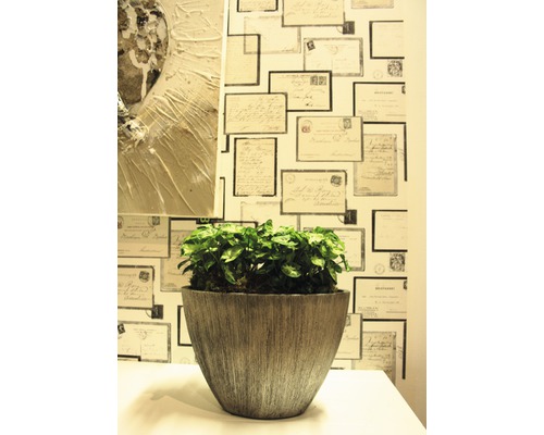 Plante d''intérieur décorative dans un pot devant un mur avec un motif d''enveloppe