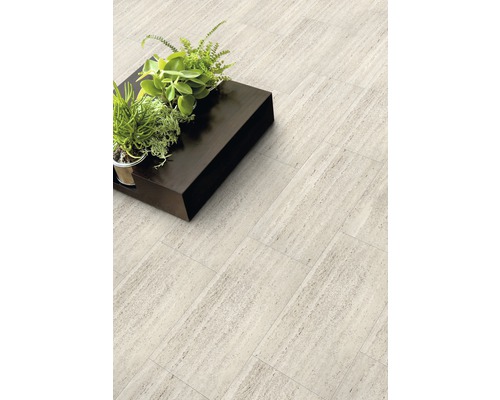 Carrelage de sol beige aspect pierre avec plantes sur un plateau