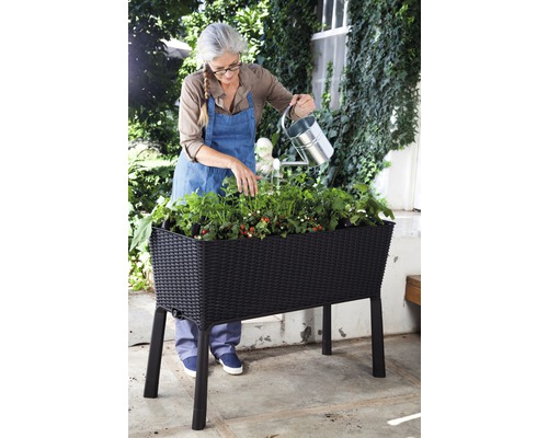 Jardinière surélevée sur pilotis Keter Easy growing 114 x 49,3 x 75,7 cm anthracite