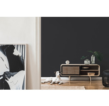 Wohnraum mit dunkler Wand, Kommode und Hund