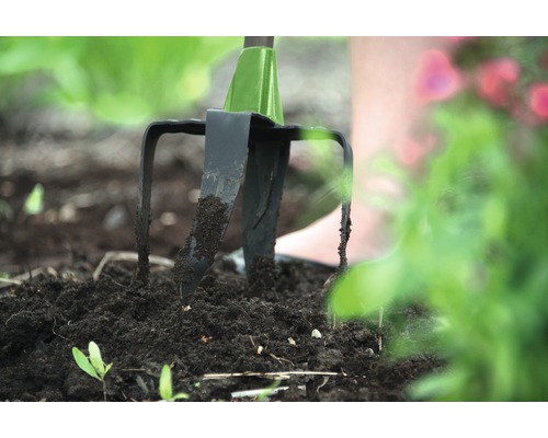 Fourche de jardin dans la terre pour travailler le sol.