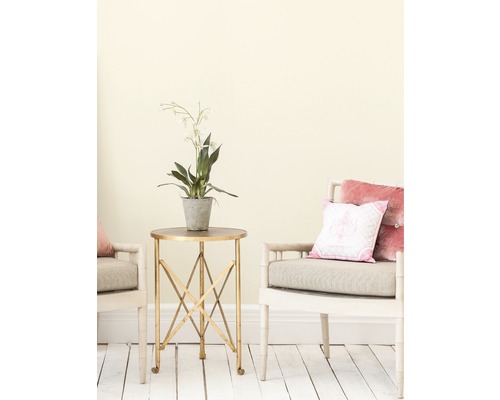 Szene mit Beistelltisch, Topfpflanze und zwei Stühlen mit Kissen