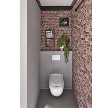 Modernes Gäste WC mit Toilette, Wandverkleidung in Steinoptik, Regal und Zimmerpflanzen