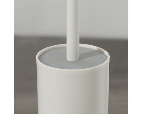 Brosse de toilette avec support