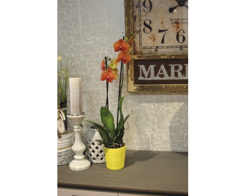 Scène décorative avec une orchidée orange dans un pot jaune, une horloge vintage et un chandelier