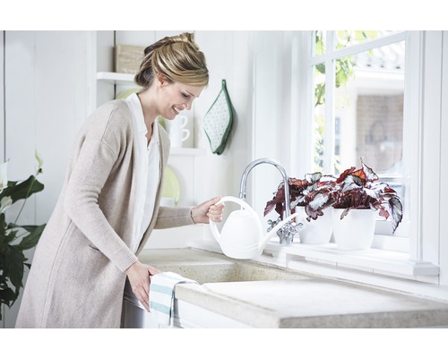 Femme arrosant des plantes en pot avec un arrosoir près de l''évier