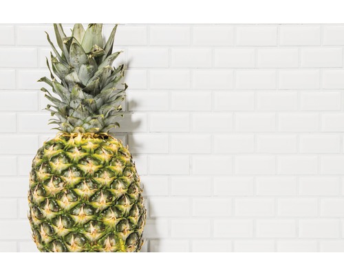 Ananas devant un mur blanc