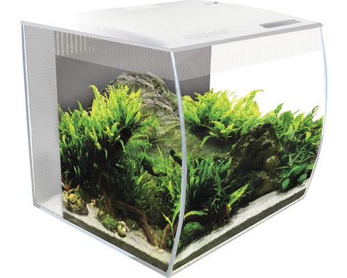 Aquarium Fluval Flex 34 l avec éclairage, filtre et télécommande sans meuble bas, blanc