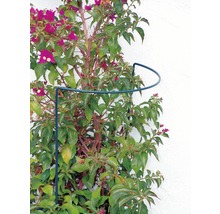 Tuteur buisson et arbuste 35 x 40 cm, vert-thumb-0